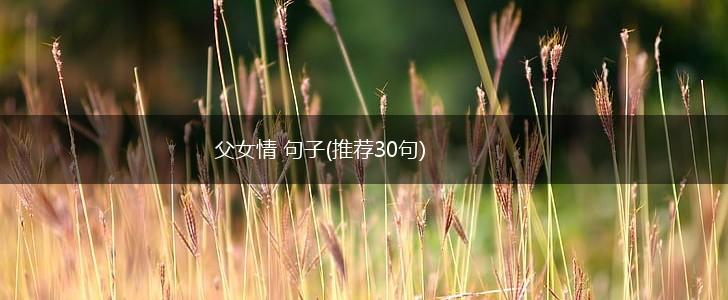 父女情 句子(推荐30句),第1张