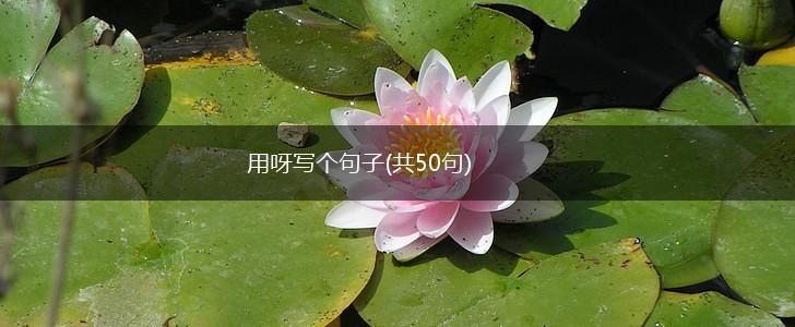 用呀写个句子(共50句),第1张