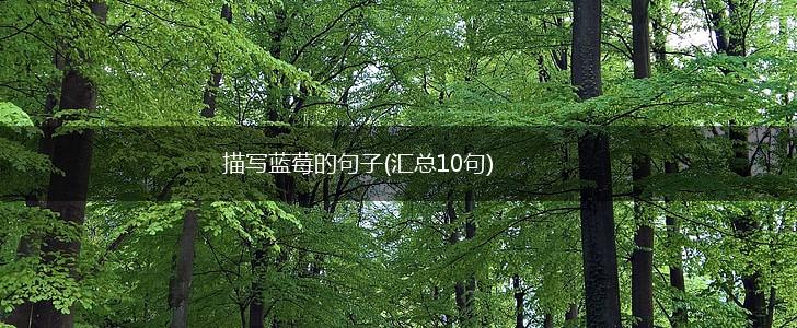 描写蓝莓的句子(汇总10句),第1张