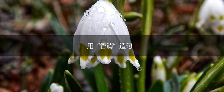 用“香消”造句,第1张