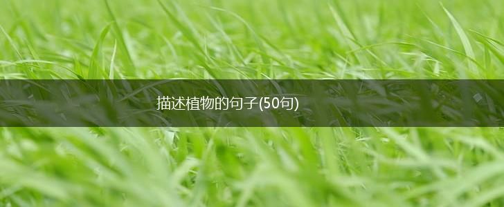 描述植物的句子(50句),第1张