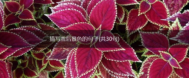 描写雪后景色的句子(共30句),第1张