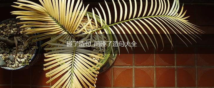 碰了造句_用碰了造句大全,第1张