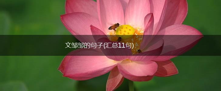 文邹邹的句子(汇总11句),第1张