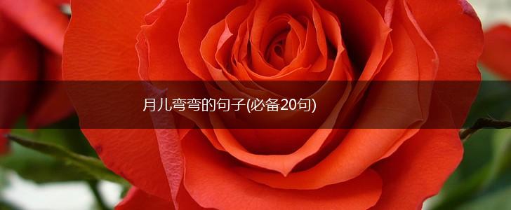 月儿弯弯的句子(必备20句),第1张