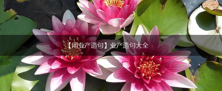 【用业产造句】业产造句大全,第1张