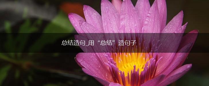总结造句_用“总结”造句子,第1张