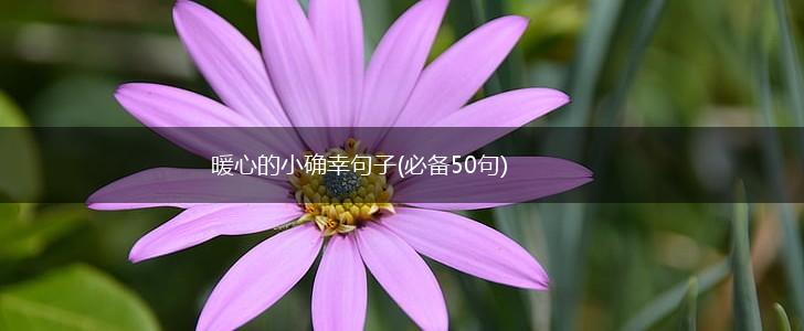 暖心的小确幸句子(必备50句),第1张
