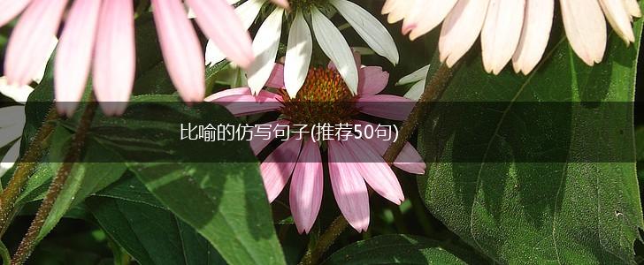 比喻的仿写句子(推荐50句),第1张