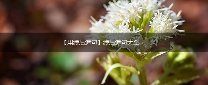 【用续后造句】续后造句大全,第1张