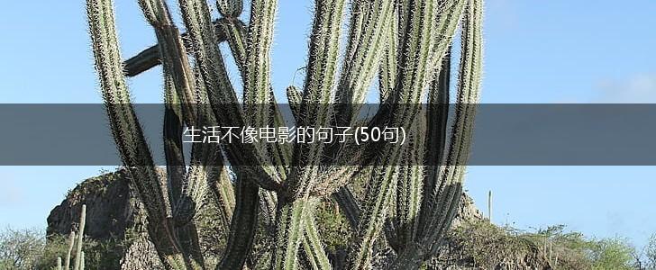 生活不像电影的句子(50句),第1张