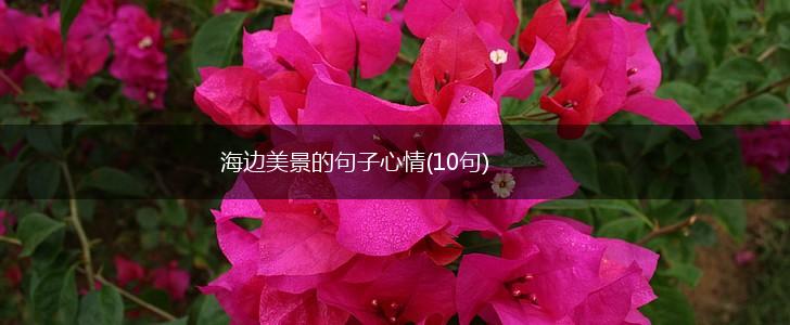 海边美景的句子心情(10句),第1张