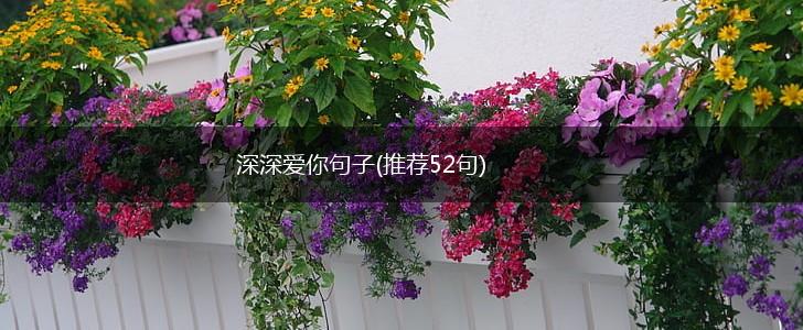 深深爱你句子(推荐52句),第1张