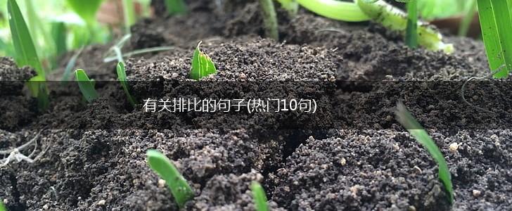 有关排比的句子(热门10句),第1张
