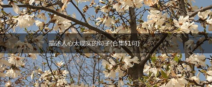 描述人心太现实的句子(合集51句),第1张