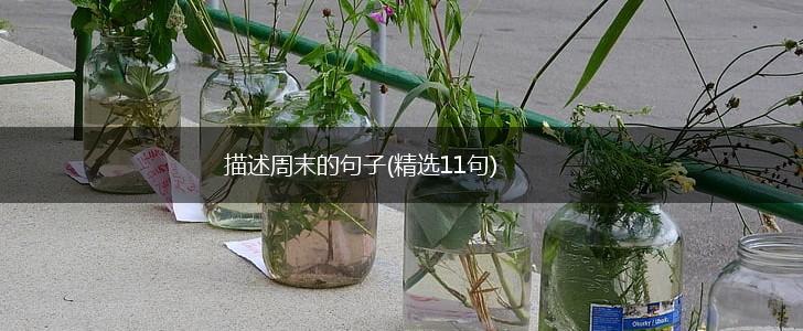 描述周末的句子(精选11句),第1张
