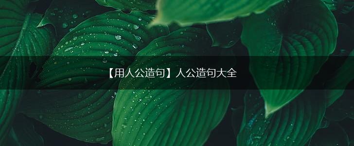【用人公造句】人公造句大全,第1张