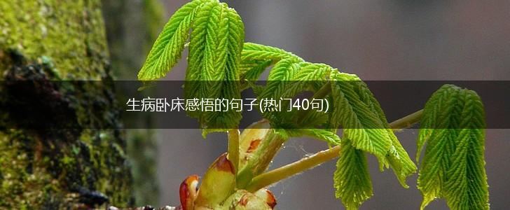 生病卧床感悟的句子(热门40句),第1张