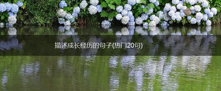 描述成长经历的句子(热门20句),第1张