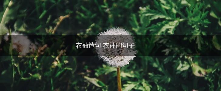 衣袖造句 衣袖的句子,第1张