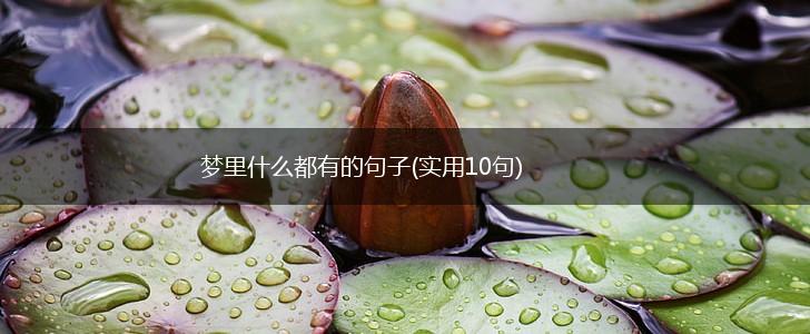 梦里什么都有的句子(实用10句),第1张