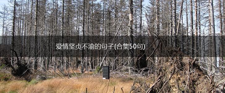 爱情坚贞不渝的句子(合集50句),第1张