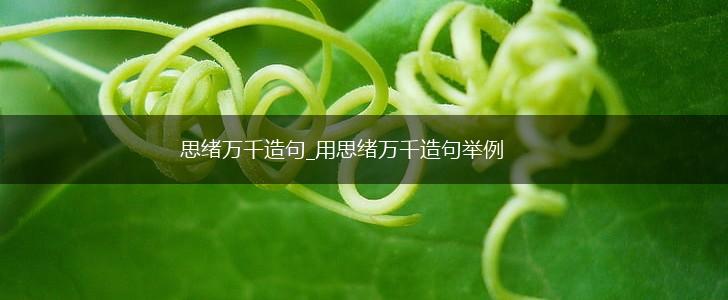 思绪万千造句_用思绪万千造句举例,第1张