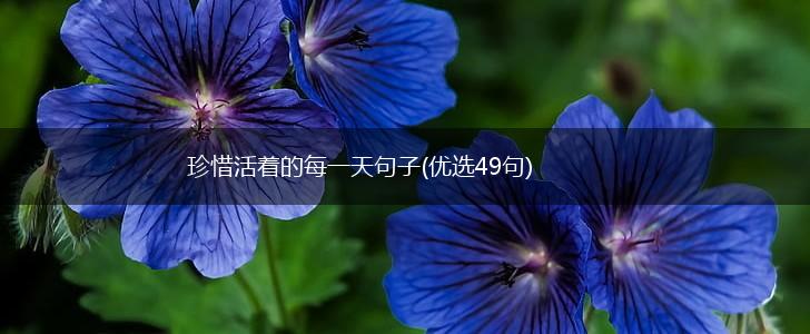 珍惜活着的每一天句子(优选49句),第1张
