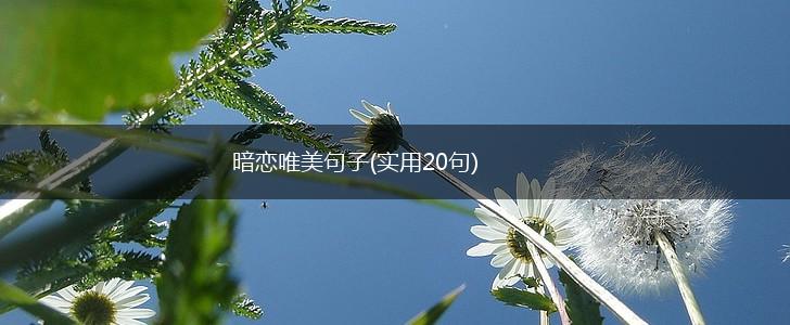 暗恋唯美句子(实用20句),第1张