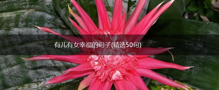 有儿有女幸福的句子(精选50句),第1张