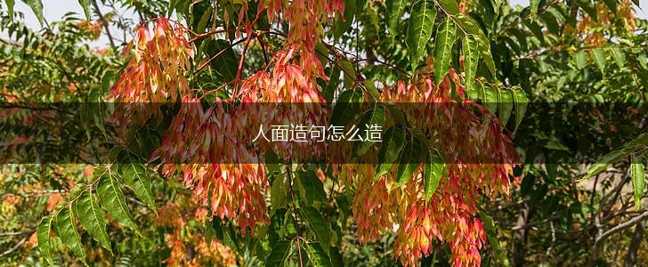 人面造句怎么造,第1张