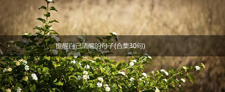 提醒自己清醒的句子(合集30句),第1张