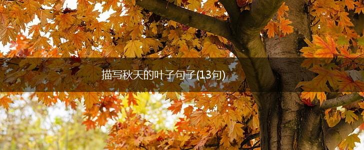 描写秋天的叶子句子(13句),第1张