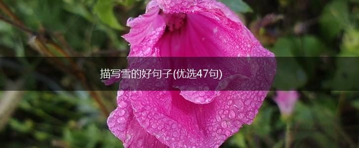 描写雪的好句子(优选47句),第1张