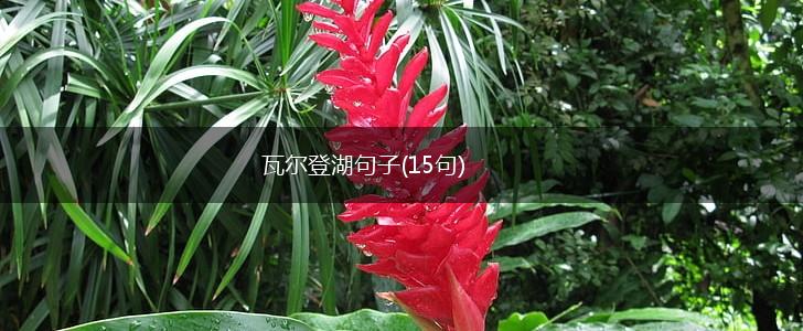 瓦尔登湖句子(15句),第1张