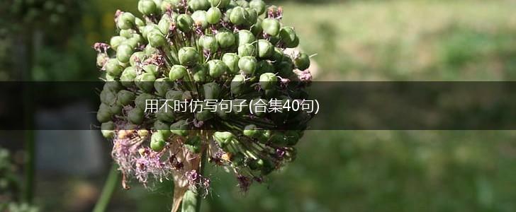 用不时仿写句子(合集40句),第1张