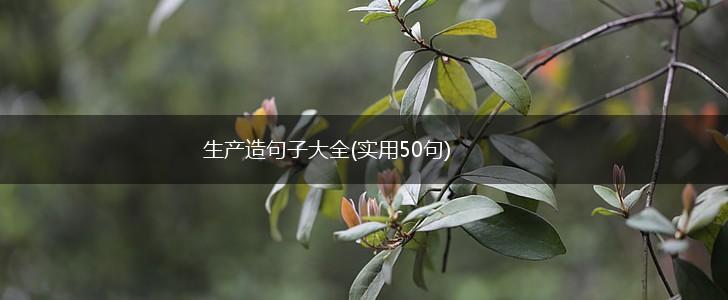 生产造句子大全(实用50句),第1张