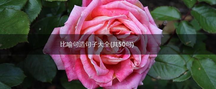 比喻句造句子大全(共50句),第1张