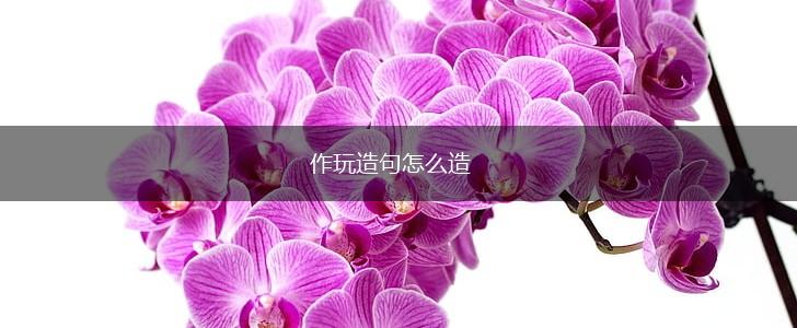 作玩造句怎么造,第1张