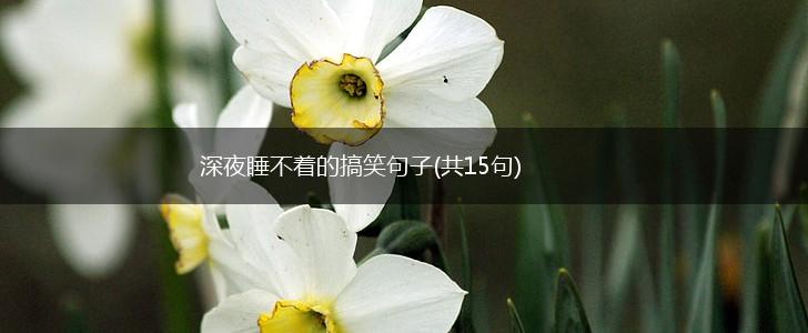 深夜睡不着的搞笑句子(共15句),第1张