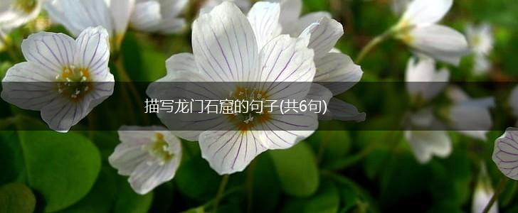 描写龙门石窟的句子(共6句),第1张