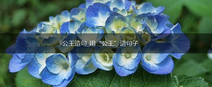 公王造句_用“公王”造句子,第1张