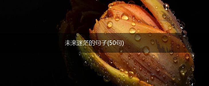未来迷茫的句子(50句),第1张
