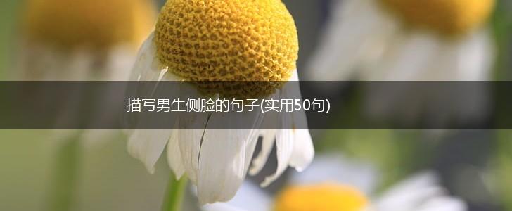 描写男生侧脸的句子(实用50句),第1张