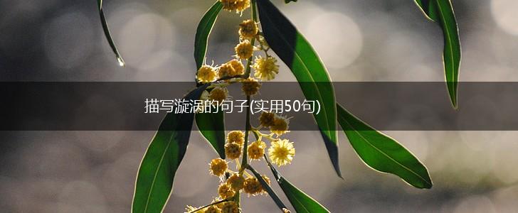 描写漩涡的句子(实用50句),第1张
