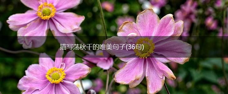 描写荡秋千的唯美句子(36句),第1张