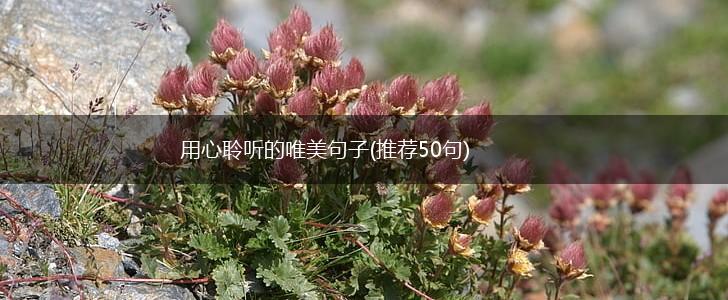 用心聆听的唯美句子(推荐50句),第1张