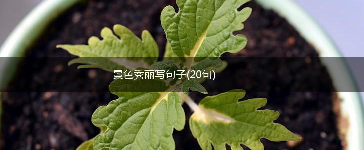 景色秀丽写句子(20句),第1张