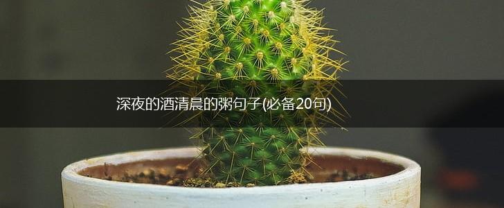 深夜的酒清晨的粥句子(必备20句),第1张