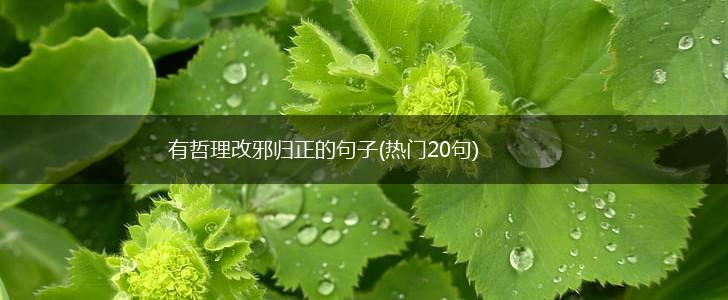 有哲理改邪归正的句子(热门20句),第1张